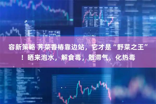 容新策略 荠菜香椿靠边站，它才是“野菜之王”！晒来泡水，解食毒，散滞气，化热毒